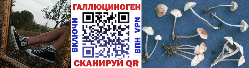 закладка  Богородск  kraken tor  Галлюциногенные грибы Psilocybe 